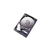 Ibm 1TB 3.5  SATAII (43W7626)